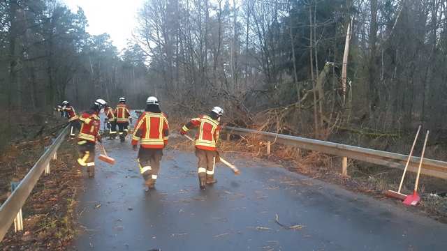 20220217_071326 groß.jpg